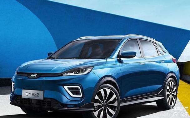 惠州惠东县特富海企业管理咨询WEY威派豪华SUV市场的黑马，零跑汽车与智能交通系统的协同